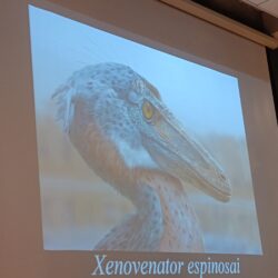 xenovenatorIMG_20260113_112335