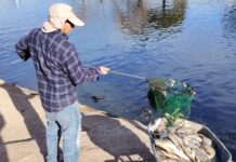 Continúan apareciendo peces muertos en la Deportiva de Saltillo