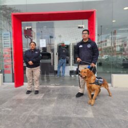 Aplica Comisaría plan integral de seguridad3
