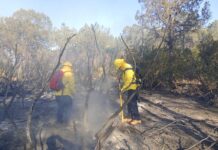 “Bandera Roja” en límites de Nuevo León y Coahuila por riesgo de incendios