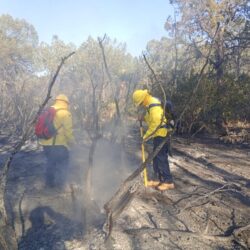 “Bandera Roja” en límites de Nuevo León y Coahuila
