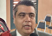 Confirman que solo había un cocodrilo en “Palo Blanco”