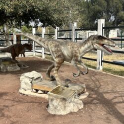 Dinolandia y Museo de Historia inician 2026 con alta afluencia y se consolida como atractivo turístico regional4