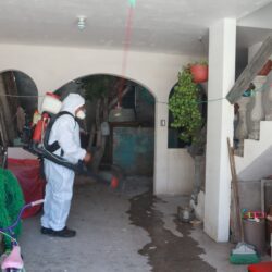 Exhorta Salud Pública2