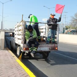 Intensifica Municipio rehabilitación de pavimento en avenidas principales y colonias de Saltillo