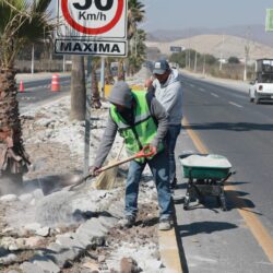 Intensifica Municipio rehabilitación de pavimento en avenidas principales y colonias de Saltillo1