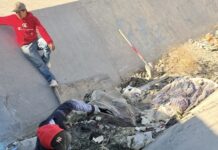 Intensifican limpieza en Parajes de los Pinos ante exceso de residuos