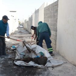 Refuerza Municipio de Saltillo limpieza profunda de callejones en Mirasierra2
