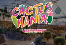 Regresa al MUDE la “Cactusmanía”, obtén un ejemplar de obsequio pagando boleto de adulto