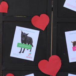 Se realiza con éxito el Croquetón 2026 en la Gran Plaza1