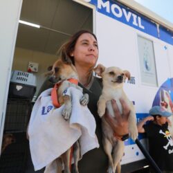 Se realiza con éxito el Croquetón 2026 en la Gran Plaza11