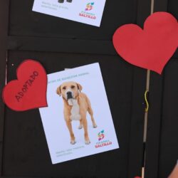 Se realiza con éxito el Croquetón 2026 en la Gran Plaza4