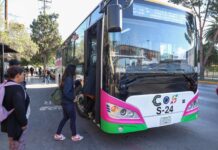 Supera los 32.4 MDP de ahorro el “Aquí Vamos Gratis”