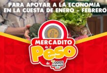 Anuncia Ramos Arizpe realización de nueva edición del Mercadito de a Peso Todos por Más – Mejora este viernes 6 de febrero