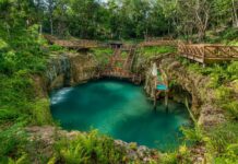 Cenote en Punta Cana: un oasis natural de aguas turquesas
