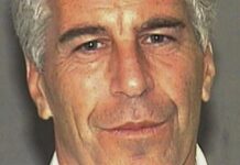 Crean plataformas online para revisar el caso Epstein