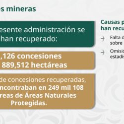 gobierno de mexico (1)