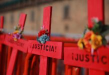 Relatora de la ONU alerta por cifras “alarmantes” de feminicidio en México y el mundo