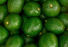 Rumbo al Super Bowl: Acosan a aguacateros, crimen quita 5%