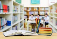 ¿Qué universidades ofrecen la mejor formación práctica en veterinaria?