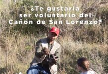 ¿Te gustaría ser voluntario en el Centro Ambiental del Cañón de San Lorenzo? Te decimos cómo