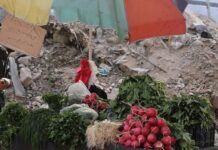 Una tregua sin paz: Gaza y Cisjordania a prueba con una nueva iniciativa diplomática