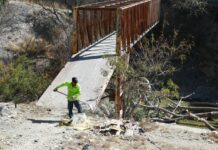 Va con todo Javier Díaz en limpieza de arroyo en la Anáhuac