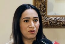 20 Empresas alemanas analizan invertir en Coahuila tras encuentro con IP estatal