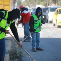 Atiende Gobierno de Saltillo palmas en bulevar V. Carranza2