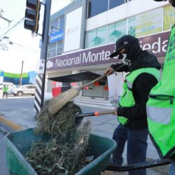 Atiende Gobierno de Saltillo palmas en bulevar V. Carranza5
