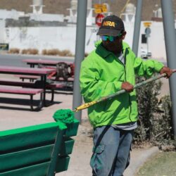 Atiende Gobierno de Saltillo palmas en bulevar V. Carranza6