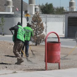Atiende Gobierno de Saltillo palmas en bulevar V. Carranza7