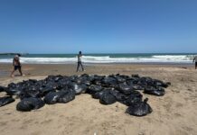 Avanza retiro de crudo en el Golfo de México