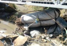 Busca Conagua recursos federales para limpiar arroyos invadidos en Saltillo