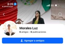 Clonan Facebook de la diputada Luz Elena Morales