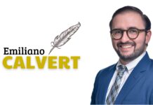 EL TRONCO QUE NADIE QUIERE CARGAR