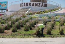 Embellece Javier Díaz plaza pública de la colonia Australia