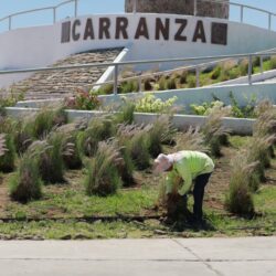 Embellece Javier Díaz plaza pública de la colonia Australia