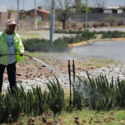 Embellece Javier Díaz plaza pública de la colonia Australia4