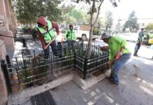 Embellece Municipio de Saltillo áreas verdes de la Plaza de Armas