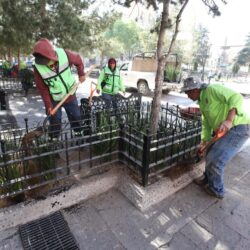 Embellece Municipio de Saltillo áreas verdes de la Plaza de Armas