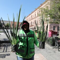 Embellece Municipio de Saltillo áreas verdes de la Plaza de Armas1