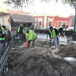 Embellece Municipio de Saltillo áreas verdes de la Plaza de Armas3