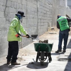 Embellece Municipio de Saltillo áreas verdes de la Plaza de Armas6
