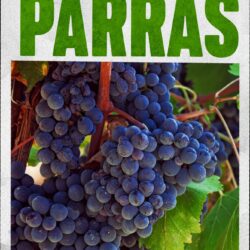 Estás vacaciones visita los pueblos mágicos de Coahuila3