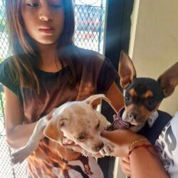 Fortalece DIF Ramos Arizpe atención integral con acciones en salud y bienestar3