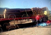Muere trabajador aplastado por troncos en Arteaga