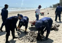 Pega derrame a playas de Veracruz