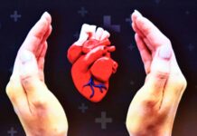 Problemas cardiovasculares, más frecuentes en mujeres