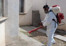 Programan inicio de campaña contra rickettsia y dengue en Coahuila